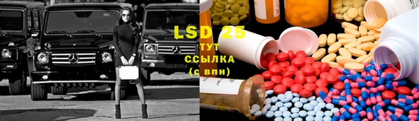 прущие грибы Алзамай