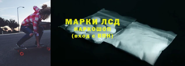 прущие грибы Алзамай
