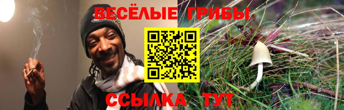 Галлюциногенные грибы MAGIC MUSHROOMS  Вход с VPN  Чапаевск 